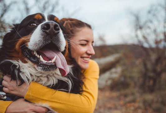 Wellness for your best friend
